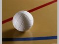 Всероссийские соревнования среди команд общеобразовательных учреждений по волейболу