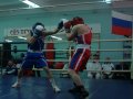 Приморские боксеры сражаются на ринге "Олимпийца"