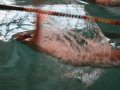 Камчатская пловчиха стала победительницей чемпионата и первенства России среди спортсменов с нарушением зрения