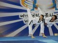 Сахалинцы завоевали 14 золотых медалей на международном турнире по тхэквондо в Республике Корея