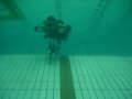 На чемпионате Европы установлен мировой рекорд в подводном плавании