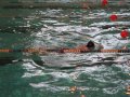 Камчатские спортсмены взяли 2 золотые, 1 серебряную и 1 бронзовую медали Чемпионата России по плаванию среди глухих