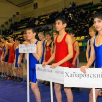 Фестиваль спортивной борьбы на призы губернатора Хабаровского края