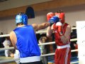 Боксеры Дальнего Востока вышли на ринг