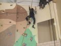 Школьники областного центра соревновались на искусственных скалах