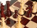 Кубок по молниеносной игре в шахматы разыгран в столице Приморья
