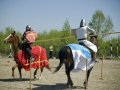 В воскресенье в Благовещенске пройдет фестиваль конного спорта