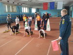 В спорткомплексе «Динамо» прошли соревнования по пожарно-прикладному спорту среди юношей