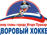 В предстоящие выходные во Владивостоке будет объявлен победитель турнира по дворовому хоккею