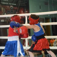 Боксерский турнир памяти И.Д. Петрука проходит во Владивостоке. Фоторепортаж