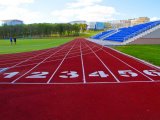 Открытые спортивные сооружения в кампусе ДВФУ будут доступны жителям Владивостока