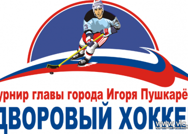 Во Владивостоке до 15 января идет прием заявок на турнир по дворовому хоккею