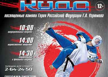 Дальневосточный турнир по кудо пройдет в столице Приморья