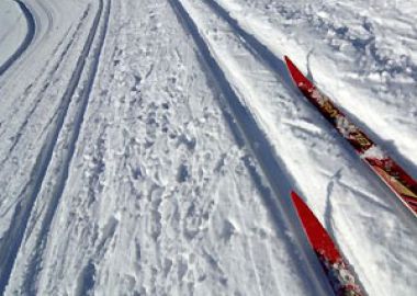 В Пересвете завершился ЧР по лыжным гонкам и биатлону среди лиц с ПОДА