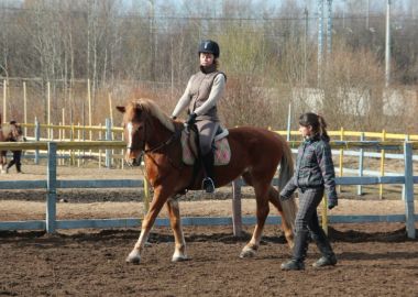 Во Владивостоке стартовали соревнования по конному спорту