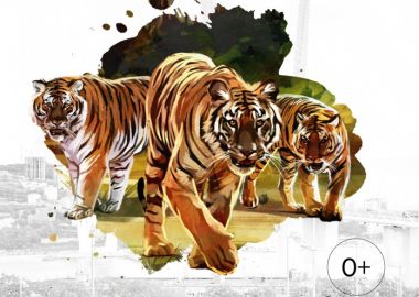 Владивостокцев приглашают стать на один день тиграми