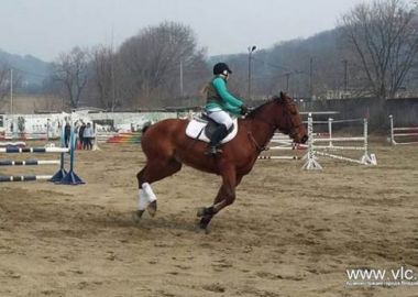 Во Владивостоке пройдет чемпионат города по конному спорту