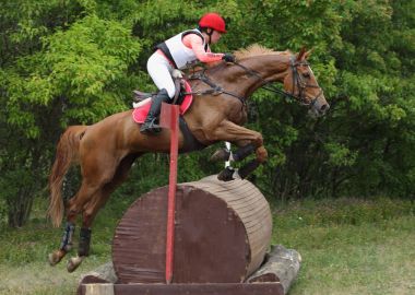 Приморская спортсменка стала седьмой на Чемпионате России по конному спорту