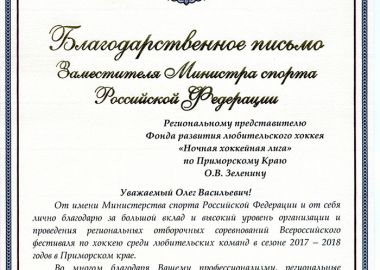 Министерство спорта РФ высоко оценило уровень организации отборочных турниров Ночной хоккейной лиги в Приморье