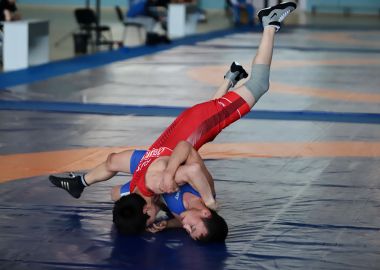 Более 200 участников собрал Всероссийский турнир по спортивной борьбе