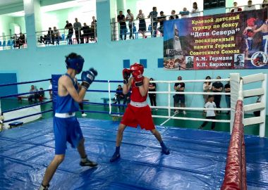 Более 130 юных боксеров сразились в турнире «Дети Севера» в Дальнегорске